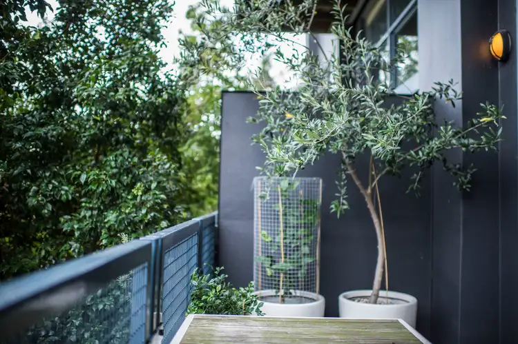Fourth view of Homely unit listing, 2/15-27 Hutchinson Street, Surry Hills NSW 2010