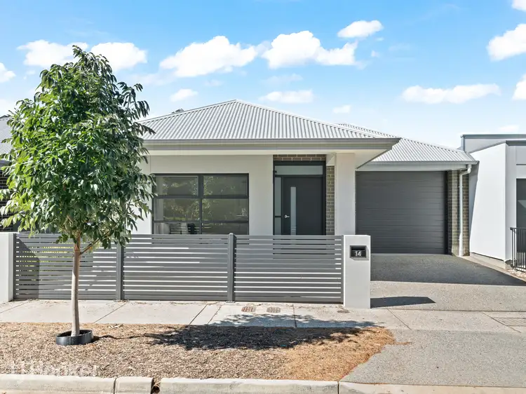 Main view of Homely house listing, 14 Winta Way, Lightsview SA 5085