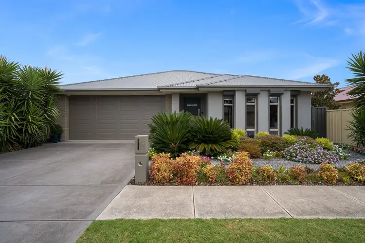 17 Falcon Avenue