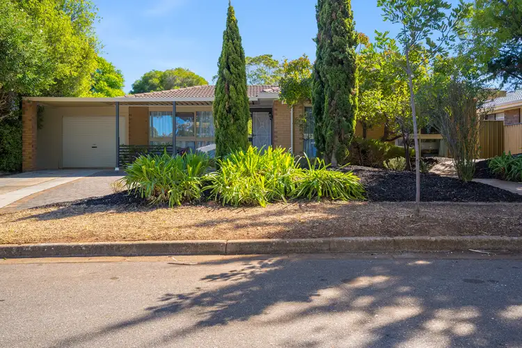 20 Wirilda Avenue, Surrey Downs SA 5126