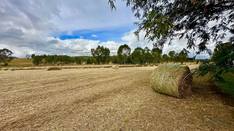 Second view of Homely rural property listing, 11032 Mount Lindsay Highway, Palen Creek QLD 4287