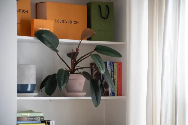 Third view of Homely apartment listing, 5/120 Brougham Street, Potts Point NSW 2011