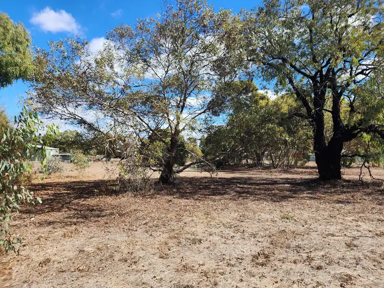 Second view of Homely land listing, 59 Sixth Avenue, Kendenup WA 6323