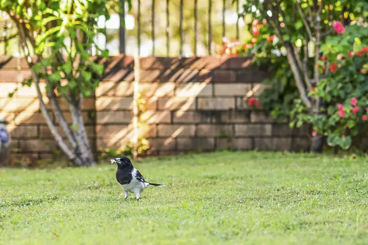 Sixth view of Homely house listing, 176 Esplanade, Golden Beach QLD 4551