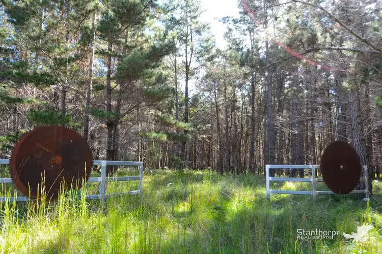 Lot 244 Radiata Close, Sugarloaf QLD 4380
