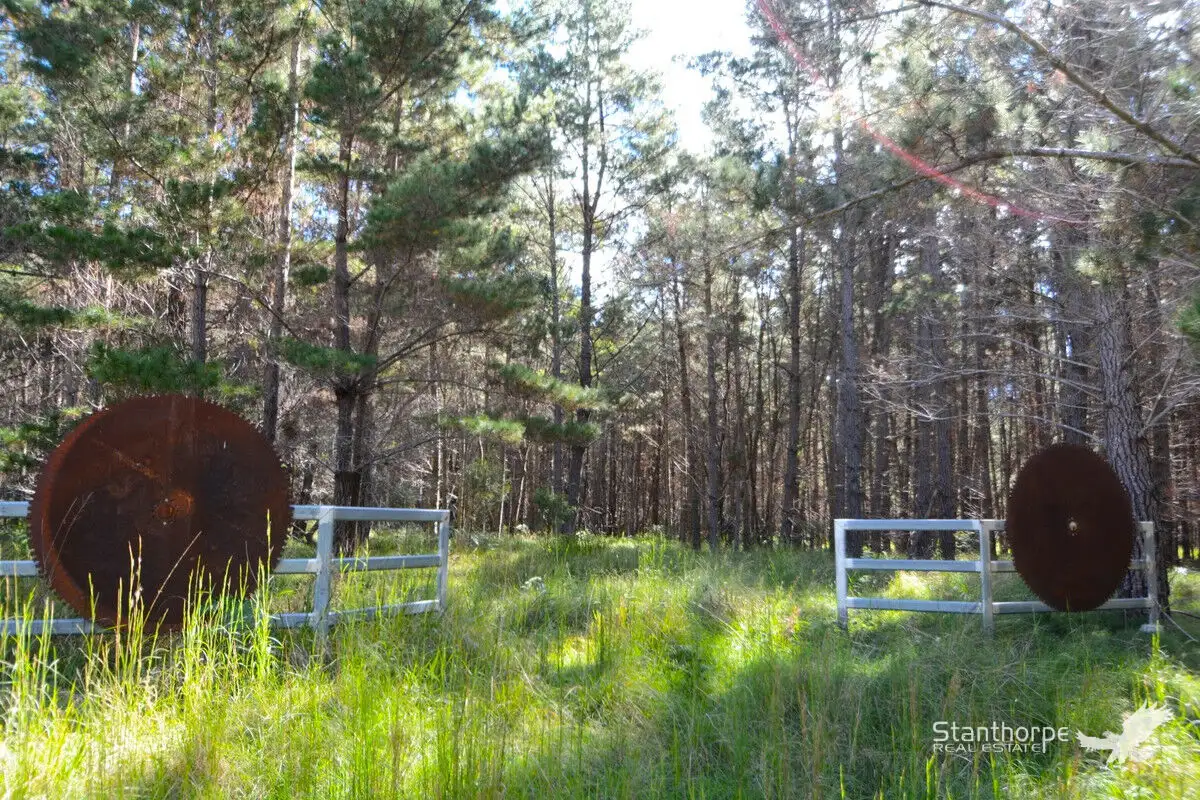 Main view of Homely land listing, Lot 244 Radiata Close, Sugarloaf QLD 4380
