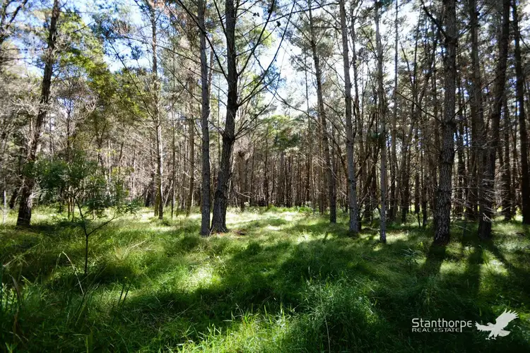 Fourth view of Homely land listing, Lot 244 Radiata Close, Sugarloaf QLD 4380