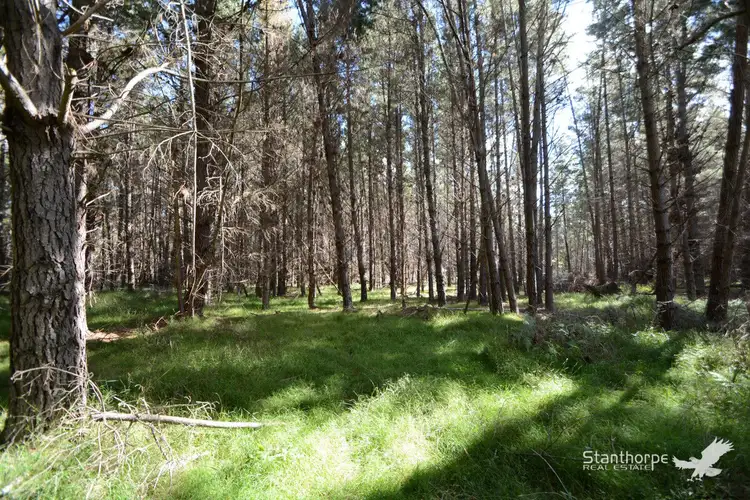 Sixth view of Homely land listing, Lot 244 Radiata Close, Sugarloaf QLD 4380