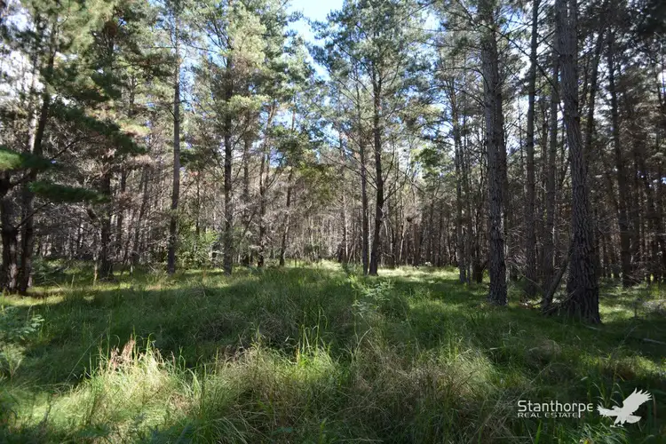 Seventh view of Homely land listing, Lot 244 Radiata Close, Sugarloaf QLD 4380