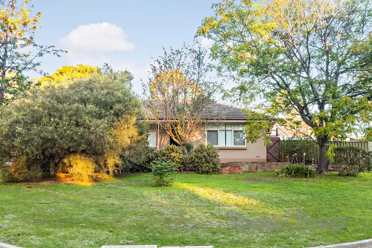 1 Sherwood Drive
