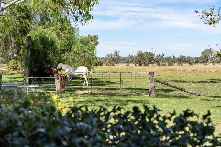 Fourth view of Homely rural property listing, 622 Cobba Da Mana Road, Oman Ama QLD 4352