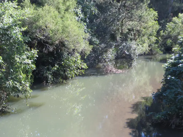 LOT 8, 175 Mud Flat Road, Drake NSW 2469