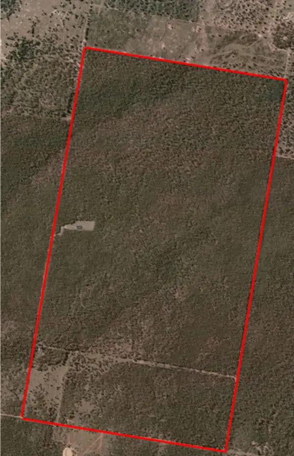 573 Hulls Road, Wee Waa NSW 2388