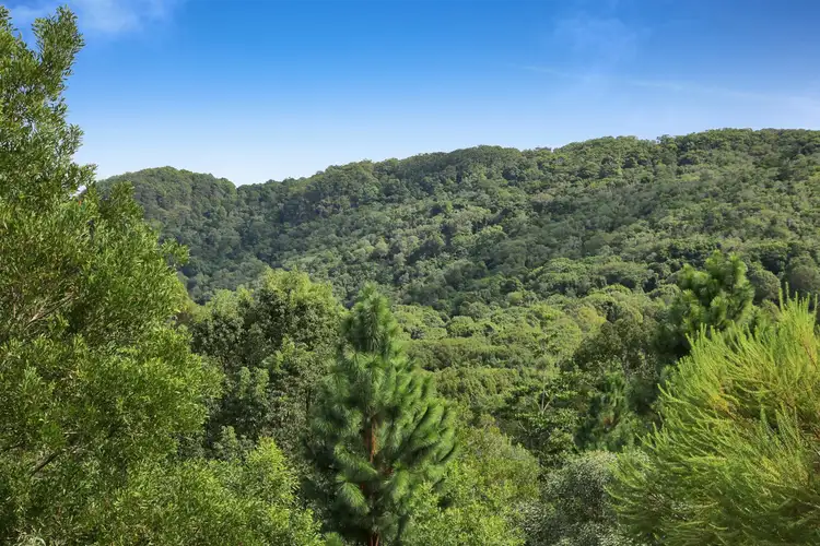 Second view of Homely land listing, 956 Currumbin Creek Road, Currumbin Valley QLD 4223