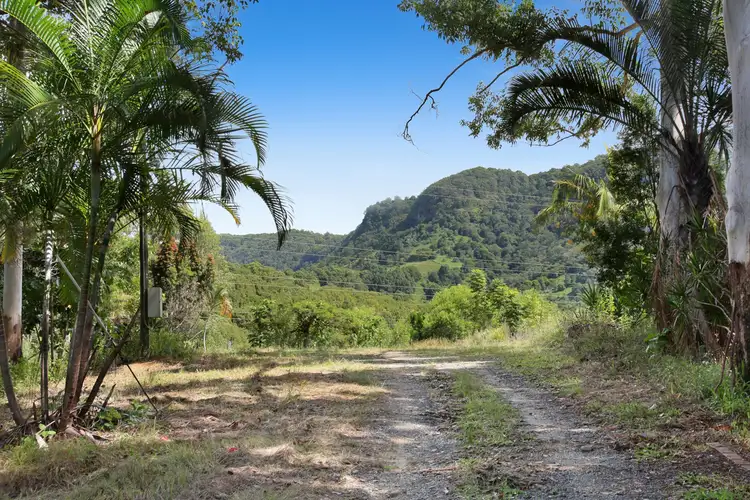 Fifth view of Homely land listing, 956 Currumbin Creek Road, Currumbin Valley QLD 4223