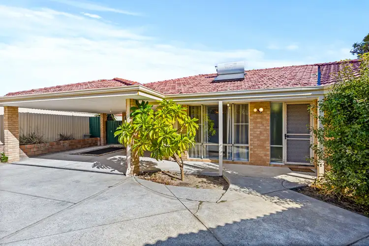 Main view of Homely unit listing, 29A Newgate Street, Alexander Heights WA 6064