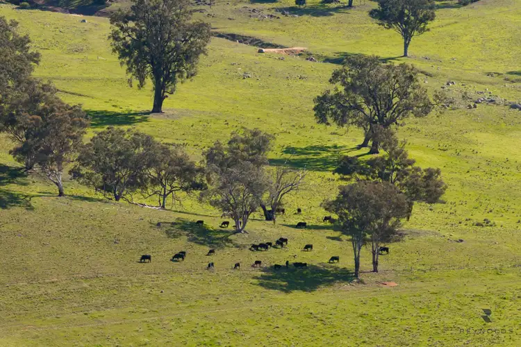 Sixth view of Homely rural property listing, 1532 Castlereagh Highway, Mudgee NSW 2850