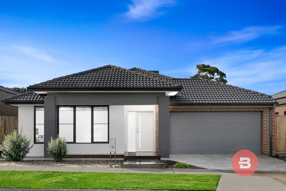 Main view of Homely house listing, 36 Feathertop Crescent, Donnybrook VIC 3064