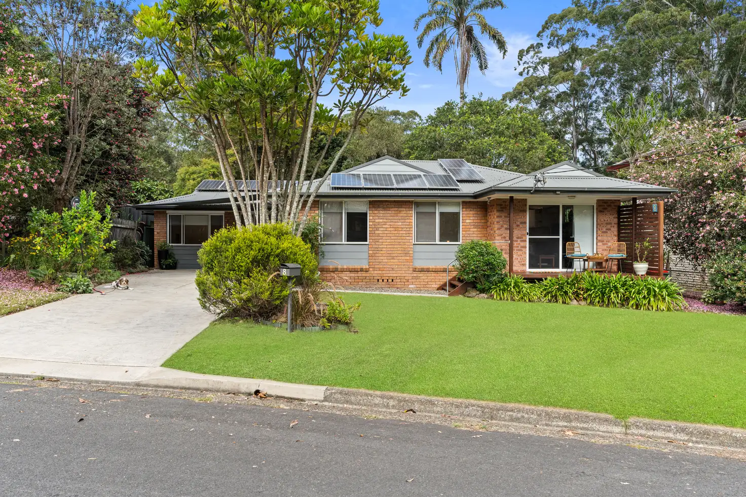Main view of Homely house listing, 8 Pangari Close, Wyoming NSW 2250