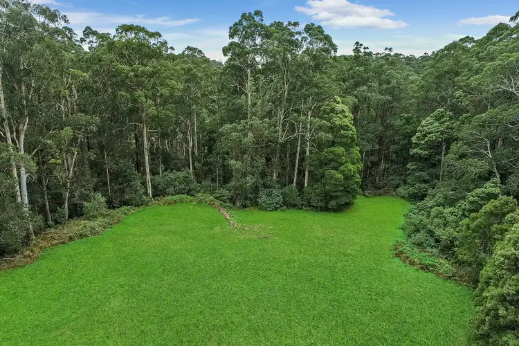 Fourth view of Homely rural property listing, 3360 Colac-Lavers Hill Road, Ferguson VIC 3237