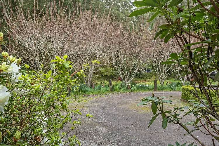 Fifth view of Homely rural property listing, 3360 Colac-Lavers Hill Road, Ferguson VIC 3237