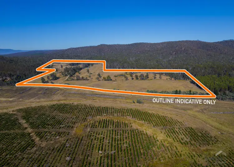 Fourth view of Homely rural property listing, 2071 Mathinna Road, Mathinna TAS 7214