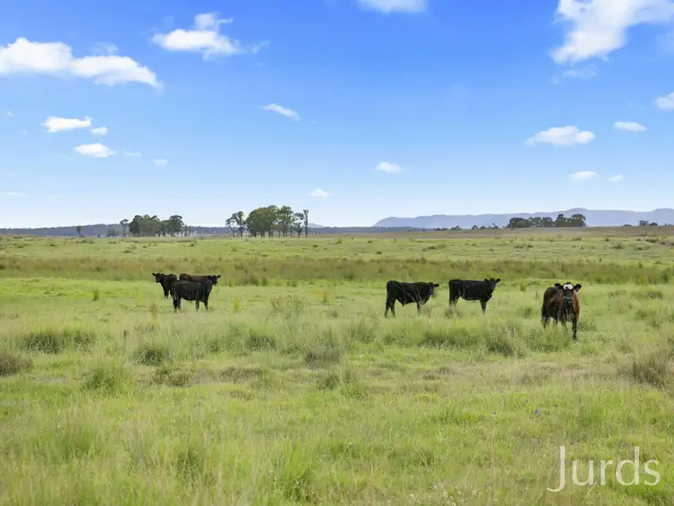 Second view of Homely rural property listing, 181A Roughit Lane, Sedgefield NSW 2330