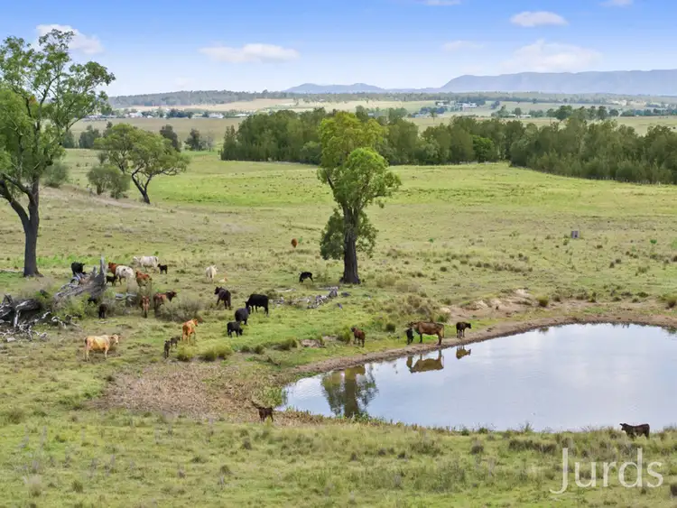 Third view of Homely rural property listing, 181A Roughit Lane, Sedgefield NSW 2330