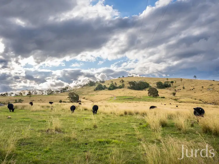 Sixth view of Homely rural property listing, 1394 Webbers Creek Road, Paterson NSW 2421