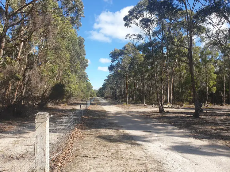Main view of Homely rural property listing, 369 Memana Road, Whitemark TAS 7255