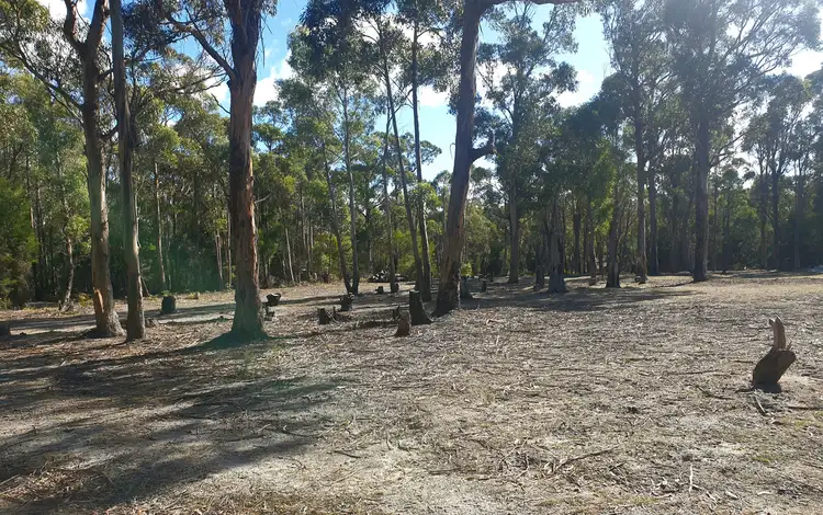 Third view of Homely rural property listing, 369 Memana Road, Whitemark TAS 7255