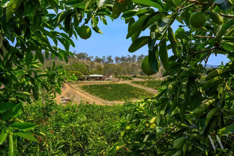 Second view of Homely rural property listing, 12 Tobin Crescent, Widgee QLD 4570