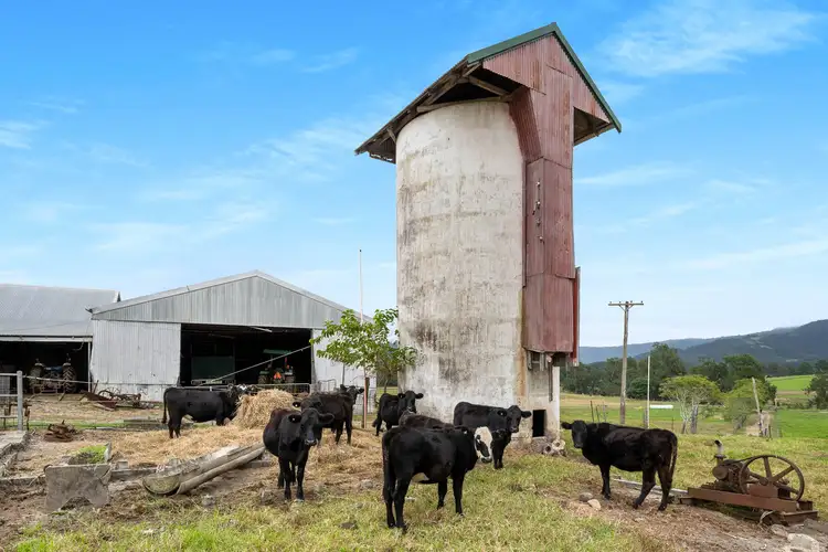 Fourth view of Homely rural property listing, 110 Homestead Lane, Berry NSW 2535