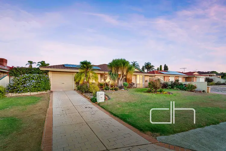 Sixth view of Homely house listing, 31 Azelia Street, Alexander Heights WA 6064