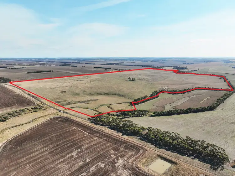 Fourth view of Homely rural property listing, Collins Lane, Berrybank VIC 3323