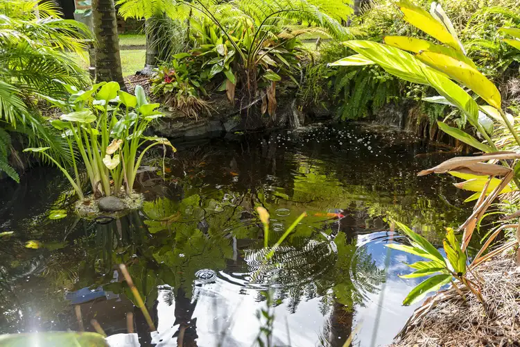 Second view of Homely apartment listing, 8/33 Palomar Parade, Freshwater NSW 2096