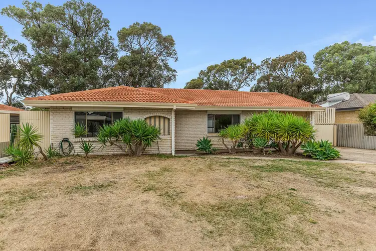 36 Darile Street, Hillman WA 6168