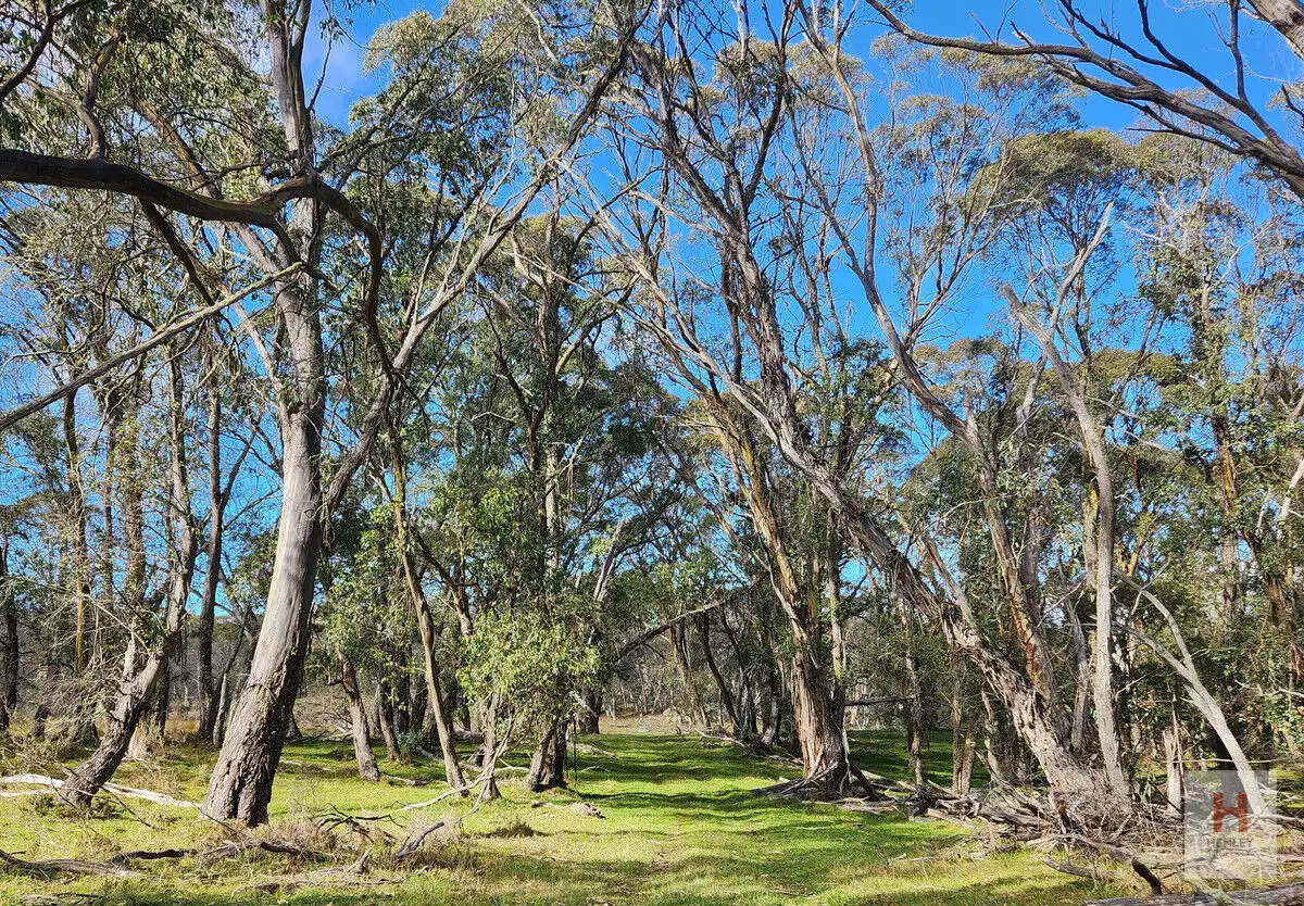 Main view of Homely land listing, LOT 96 Jumping Creek Lane, Greenlands NSW 2631