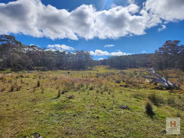 Third view of Homely land listing, LOT 96 Jumping Creek Lane, Greenlands NSW 2631