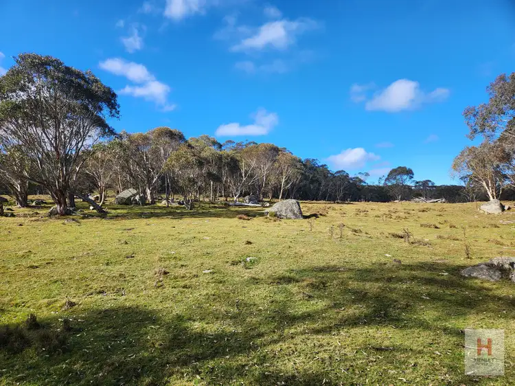 Fourth view of Homely land listing, LOT 96 Jumping Creek Lane, Greenlands NSW 2631