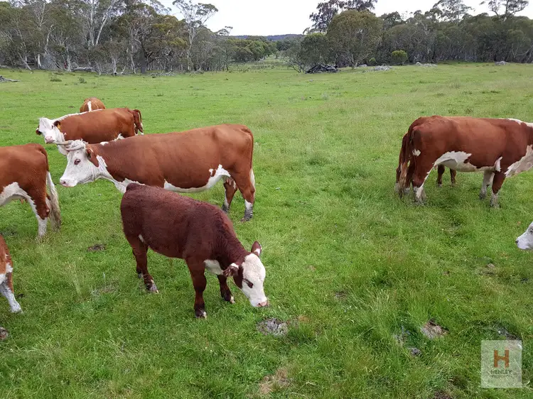 Sixth view of Homely land listing, LOT 96 Jumping Creek Lane, Greenlands NSW 2631