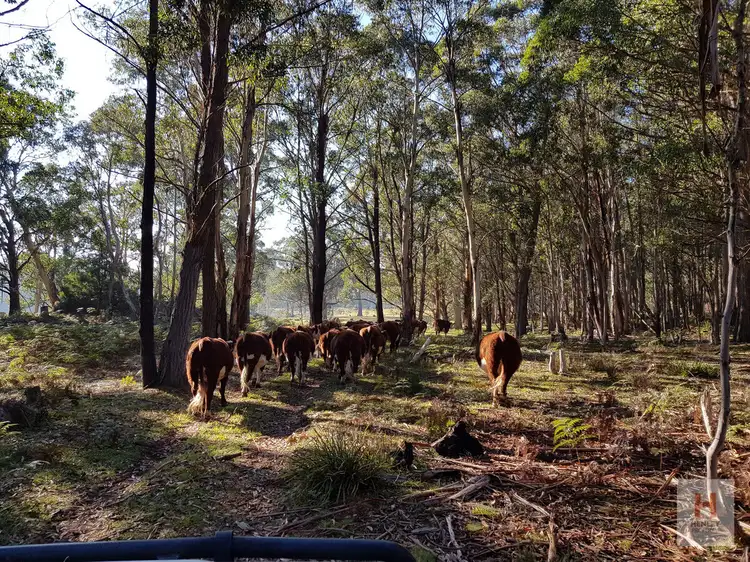 Seventh view of Homely land listing, LOT 96 Jumping Creek Lane, Greenlands NSW 2631