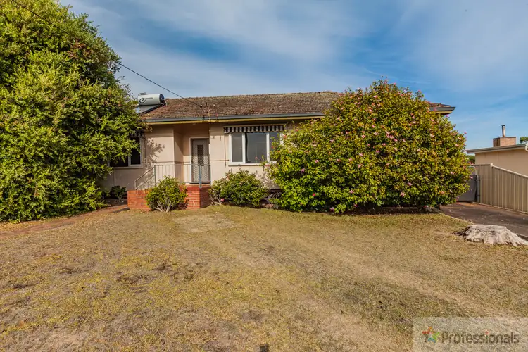 Main view of Homely house listing, 14 Maxwell Street, Manjimup WA 6258