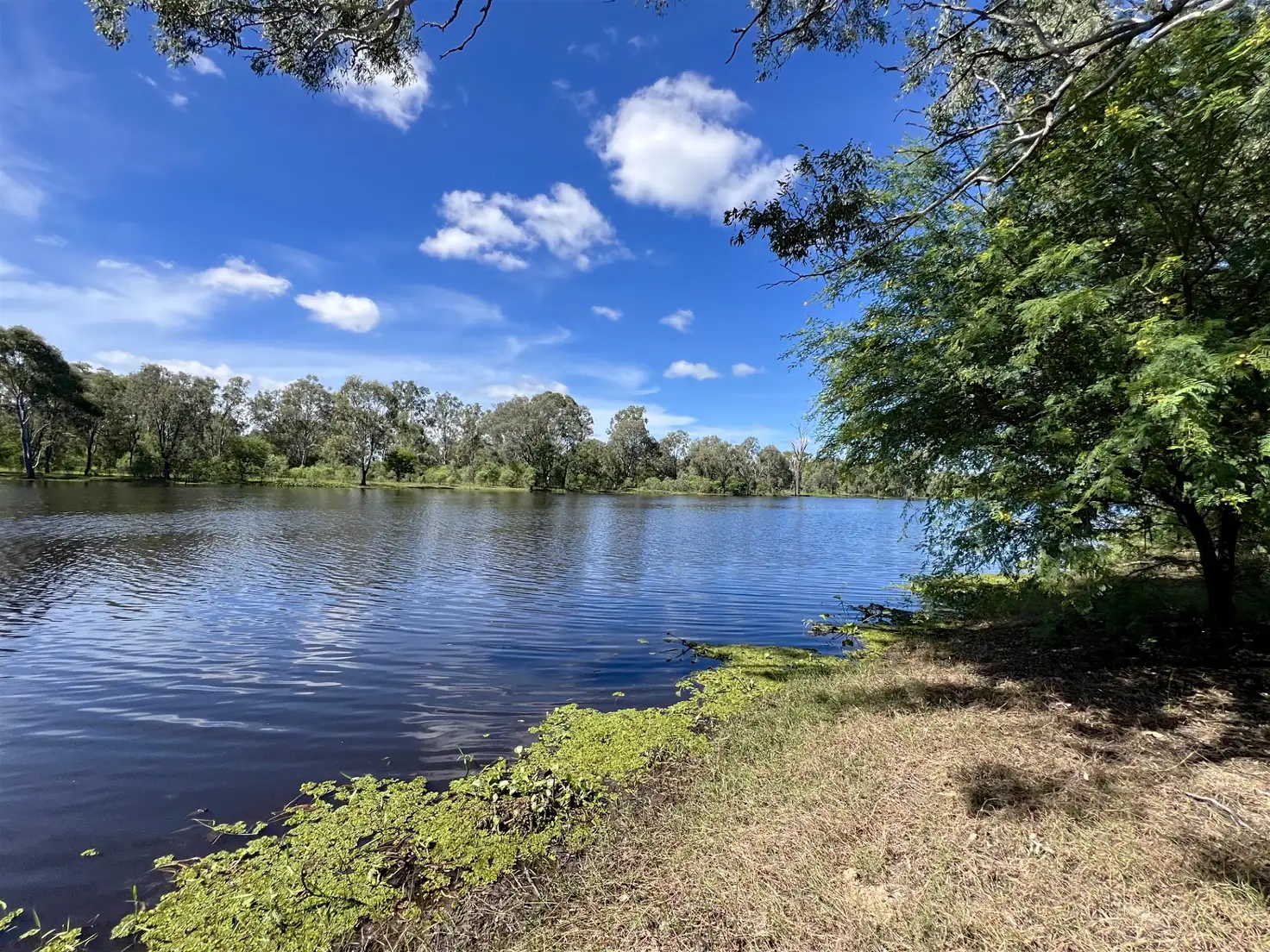 Main view of Homely rural property listing, 1 Whyte Road, Port Curtis QLD 4700
