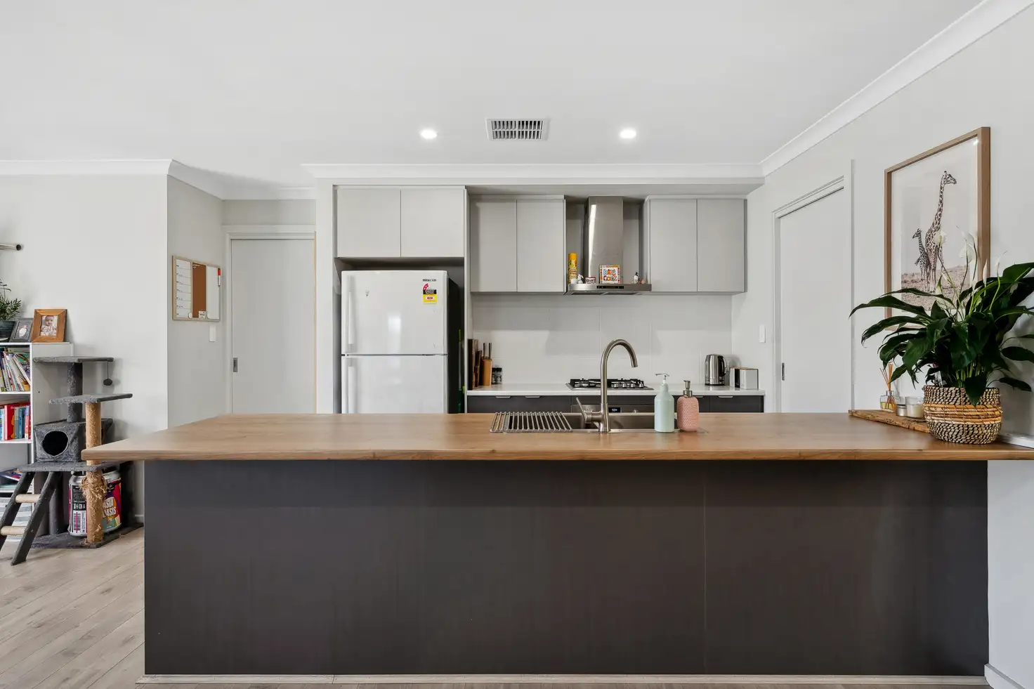 Main view of Homely house listing, 8 Barnabas Crescent, Christie Downs SA 5164