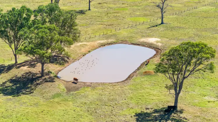 Sixth view of Homely rural property listing, 14 Rileys Road, Munro VIC 3862