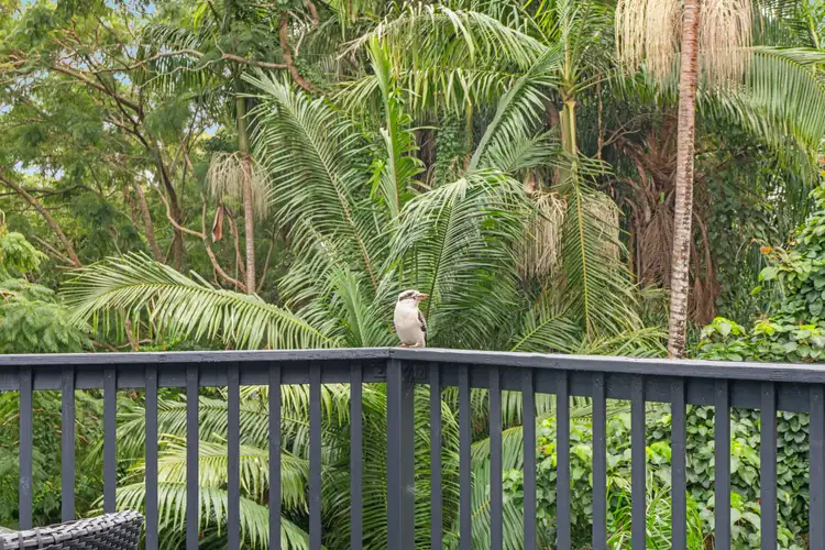 Fifth view of Homely house listing, 22 Elm Place, Banora Point NSW 2486