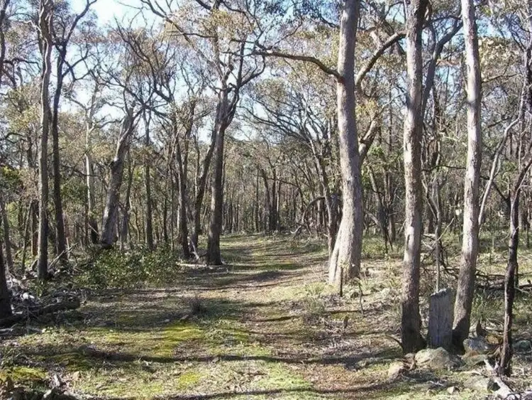 Second view of Homely land listing, 85 Weir Road, She Oaks VIC 3331