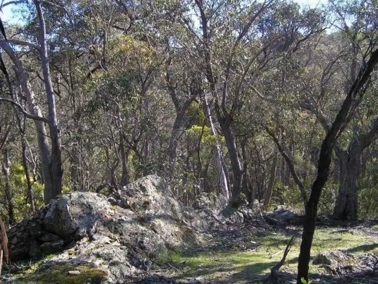 Fifth view of Homely land listing, 85 Weir Road, She Oaks VIC 3331