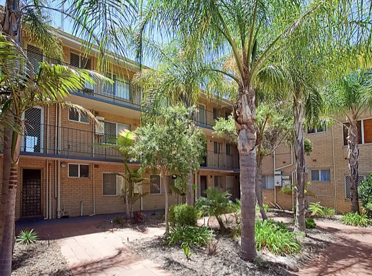 Main view of Homely unit listing, 11/1055 Albany Highway, St James WA 6102